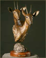 Desktop Bronze Sculpture of Two African Grey Duikers Busts